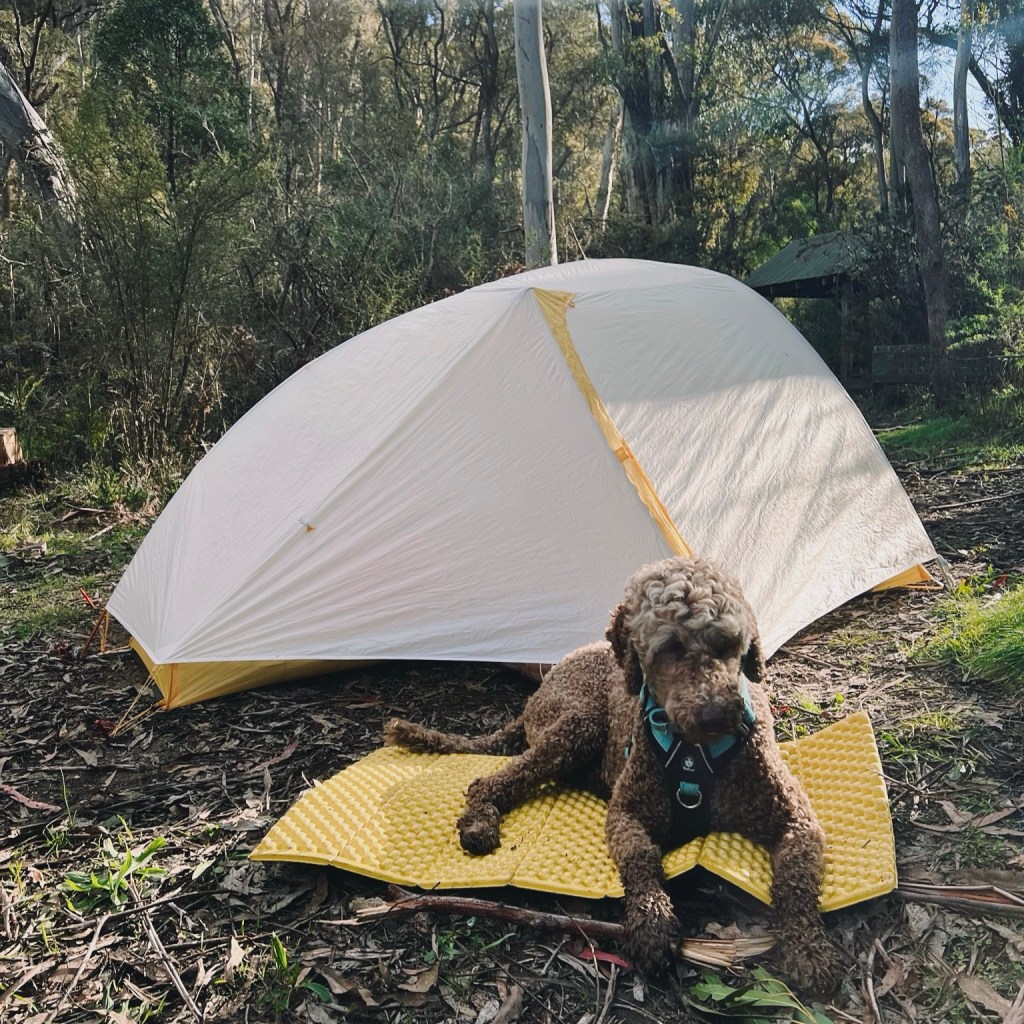 Dog-Friendly Multi-Day Hike on the Hume & Hovell&nbsp;Track