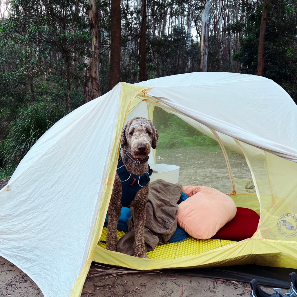 7 Tips for Overnight Hiking with a&nbsp;Dog