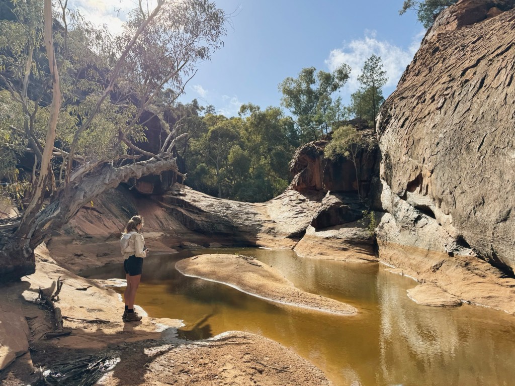 Mutawintji National Park: A guide to NSW’s Most Underrated National&nbsp;Park