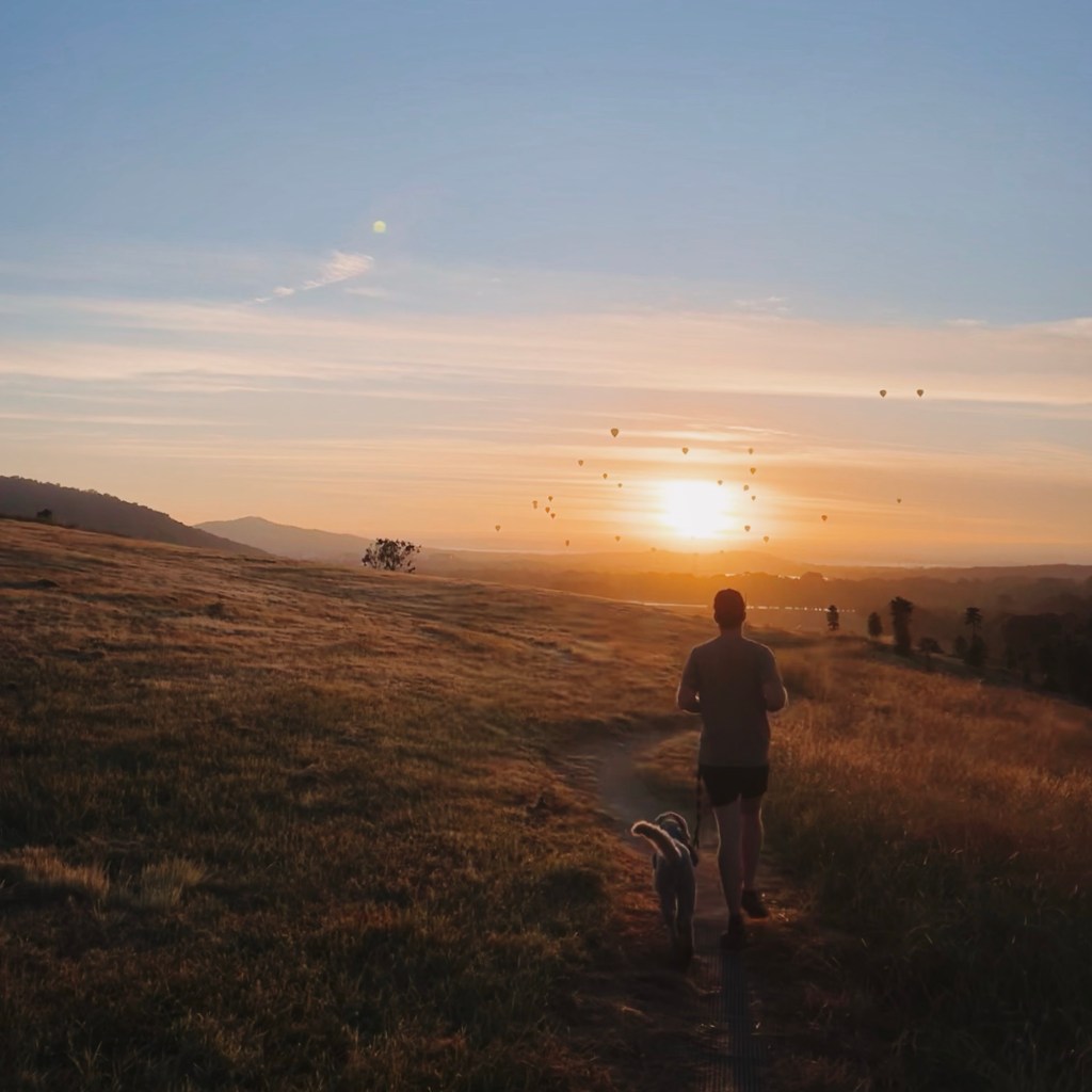 8 Dog-Friendly Adventures in&nbsp;ACT